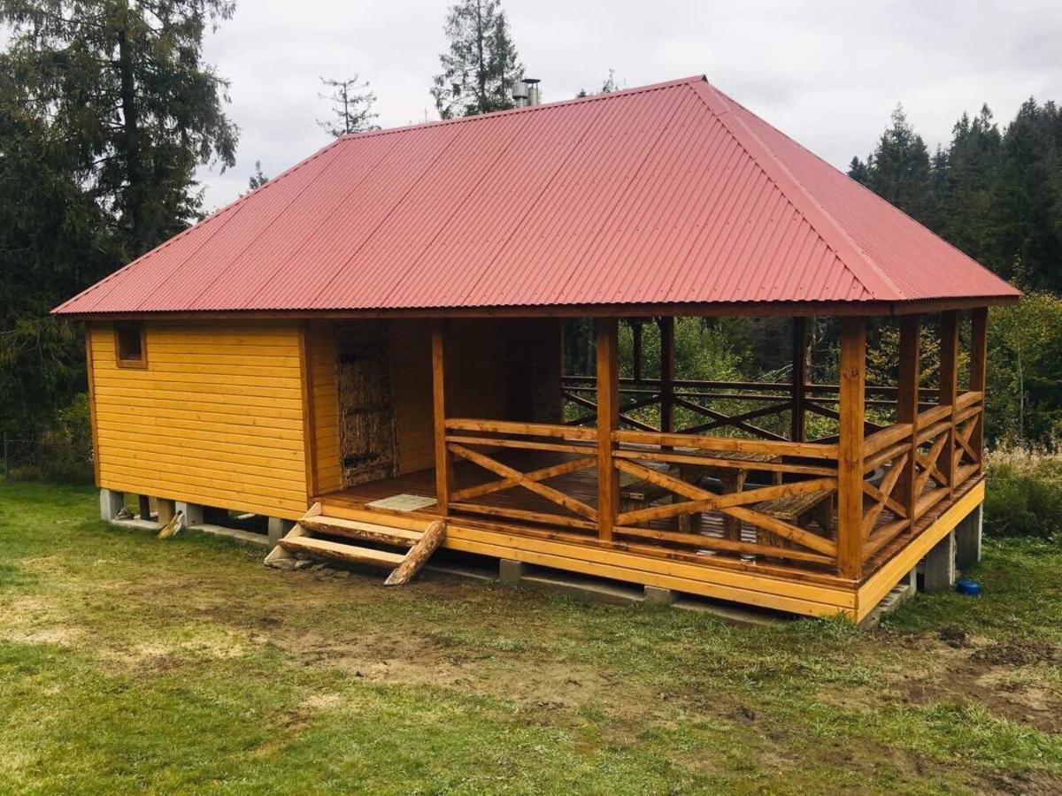 Baza Vidpochynku Ilz Villa Slavske Esterno foto