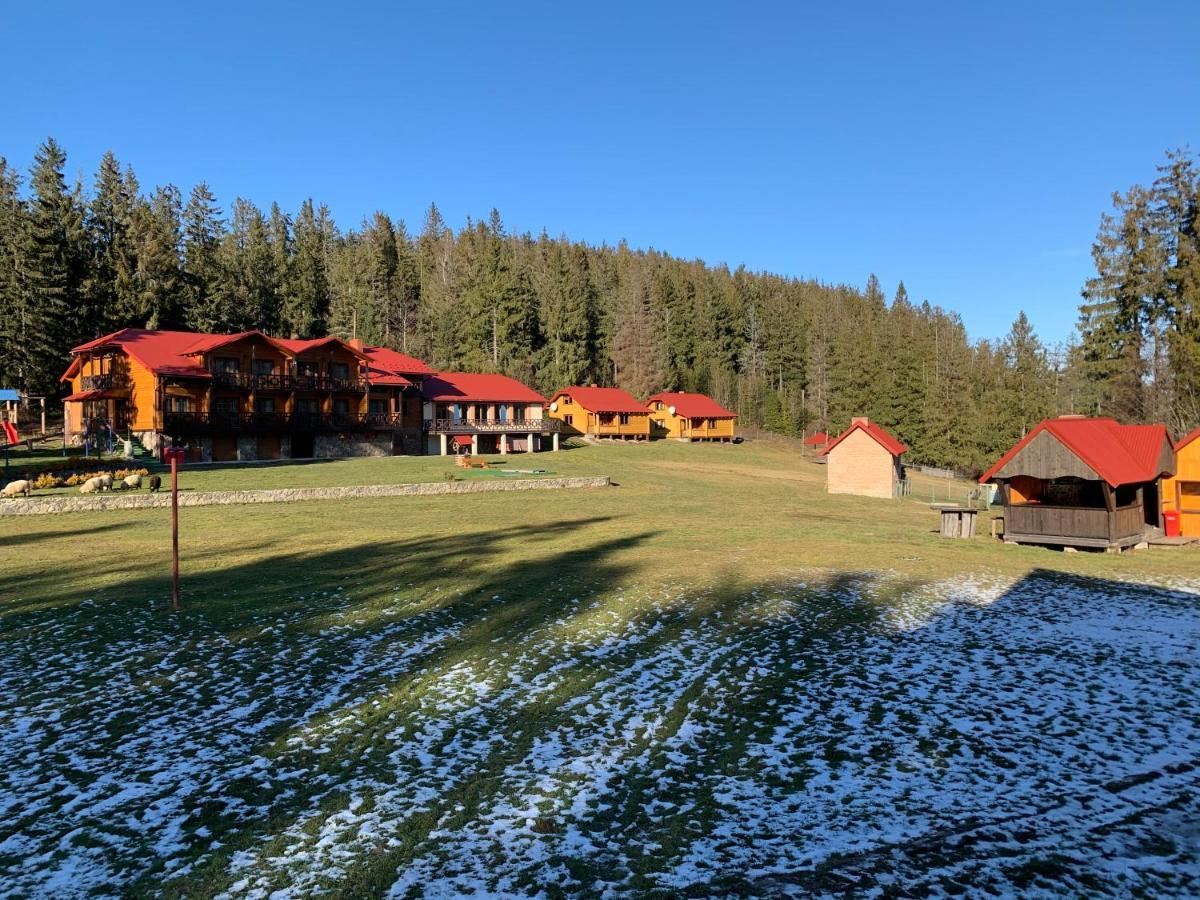 Baza Vidpochynku Ilz Villa Slavske Esterno foto