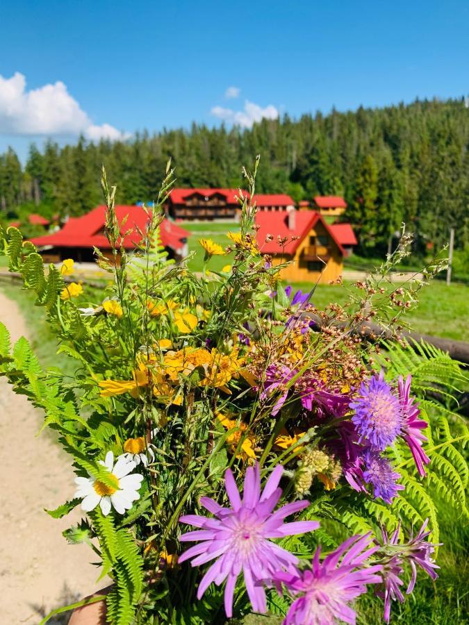 Baza Vidpochynku Ilz Villa Slavske Esterno foto