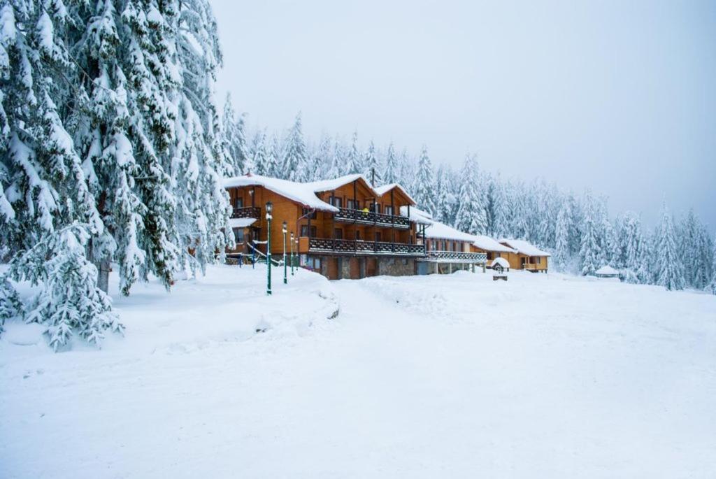 Baza Vidpochynku Ilz Villa Slavske Esterno foto