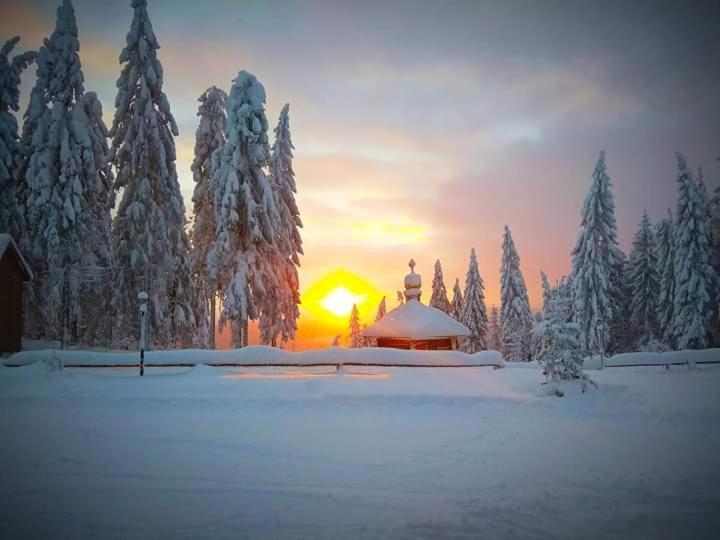Baza Vidpochynku Ilz Villa Slavske Esterno foto